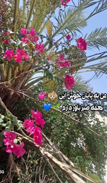 عکس طبیعت واقعی برای استوری