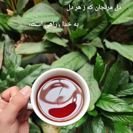 عکس طبیعت واقعی برای استوری