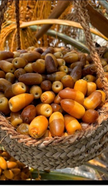 عکس طبیعت واقعی برای استوری