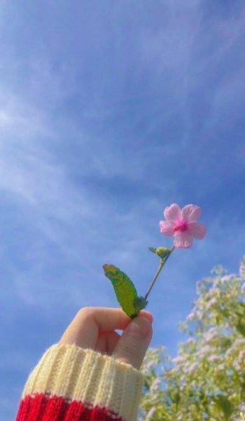 عکس طبیعت واقعی برای استوری