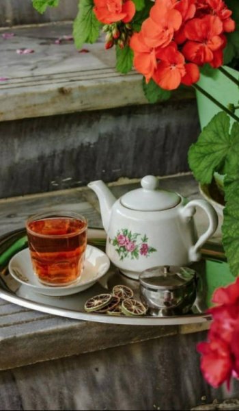 عکس طبیعت واقعی برای استوری