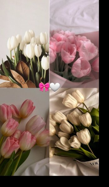 عکس طبیعت واقعی برای استوری