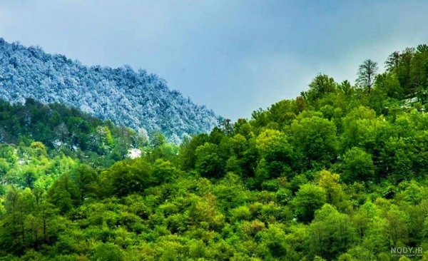  عکس طبیعت واقعی شمال