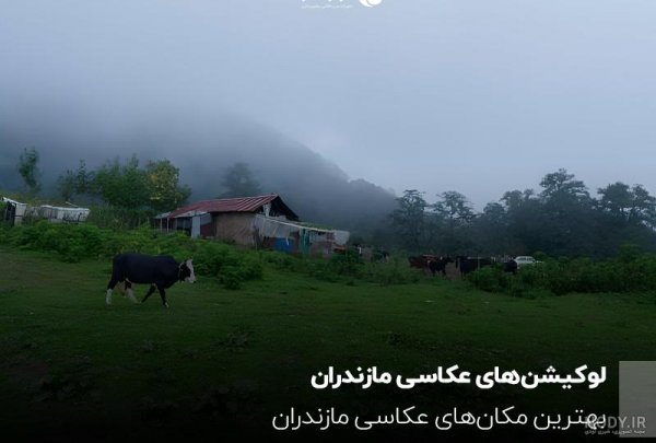  عکس طبیعت واقعی شمال