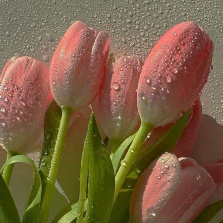  عکس طبیعت واقعی ساده