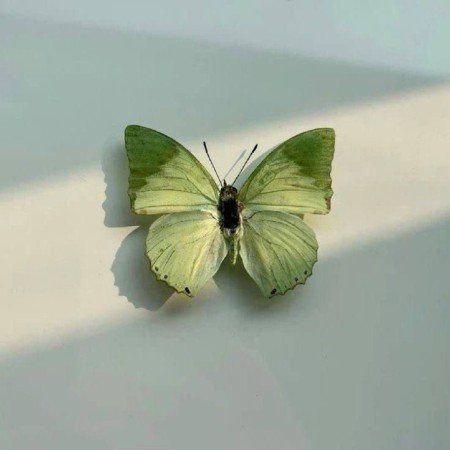  عکس طبیعت واقعی ساده