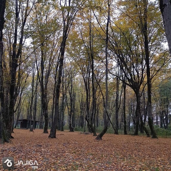 عکس طبیعت شمال در پاییز