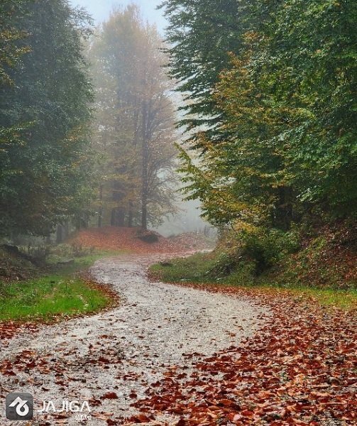  عکس طبیعت شمال در پاییز