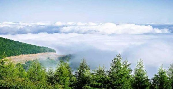 عکس جنگل پاییزی شمال