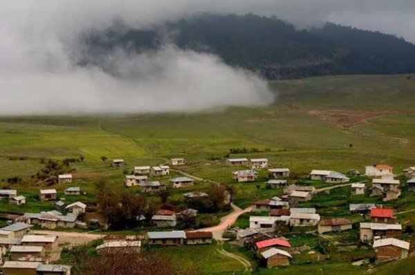  عکس جنگل پاییزی شمال
