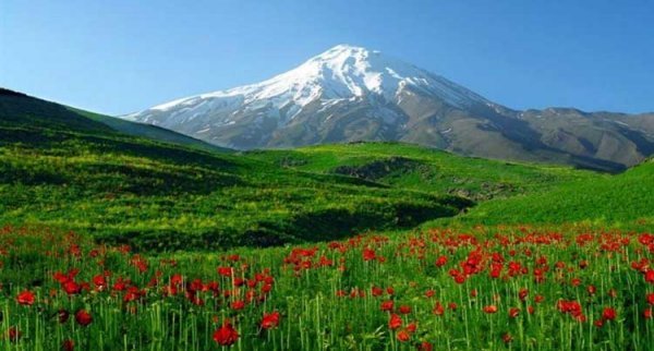  عکس جنگل پاییزی شمال