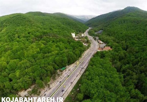  عکس جنگل پاییزی شمال
