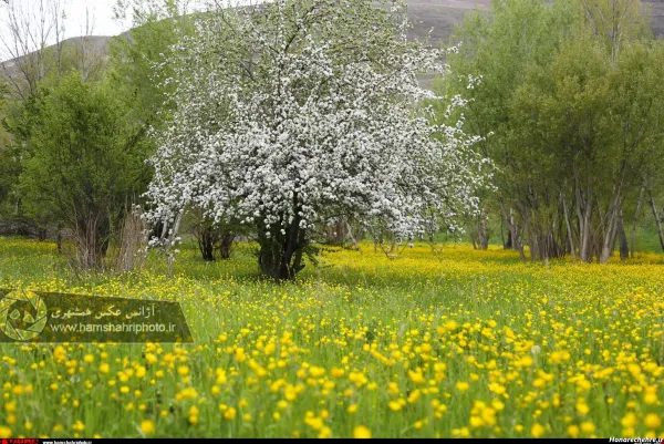  عکس طبیعت شمال در بهار