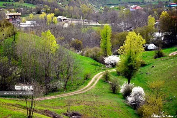  عکس طبیعت شمال در بهار