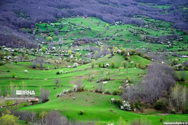  عکس طبیعت شمال در بهار
