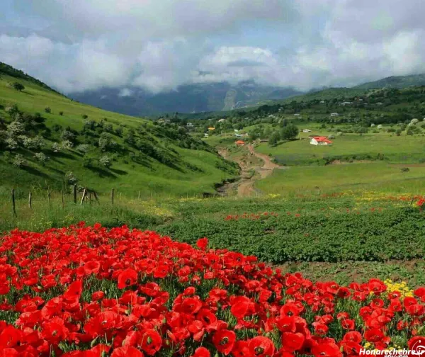  عکس طبیعت شمال در بهار