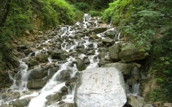  عکس طبیعت شمال گیلان