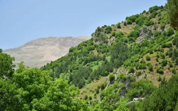  عکس طبیعت شمال گیلان