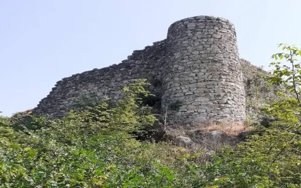  عکس طبیعت شمال گیلان