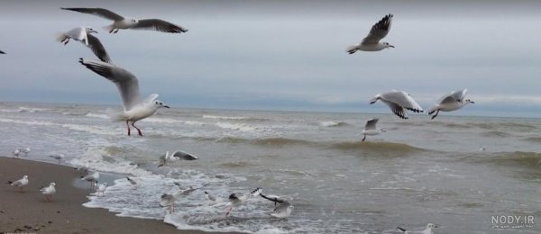 جاهای دیدنی چالوس در شب