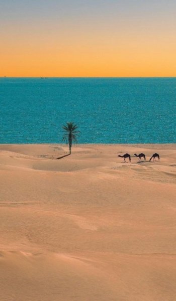 عکس دریای شمال واقعی