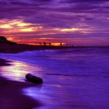  عکس دریای شمال واقعی