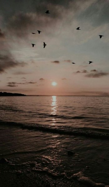  عکس دریا شمال در شب