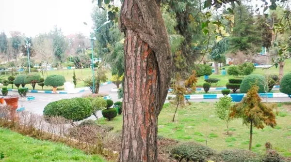  عکس دریا شمال در زمستان