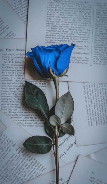  عکس موج دریا واقعی