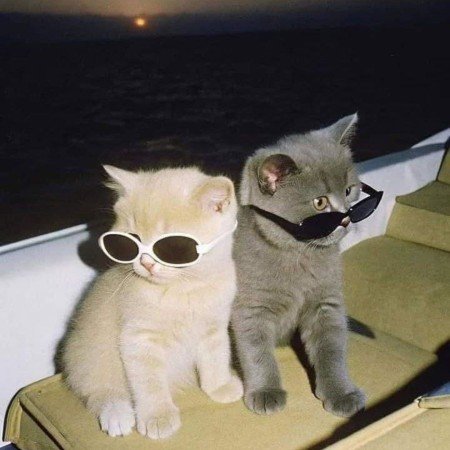  عکس موج دریا واقعی