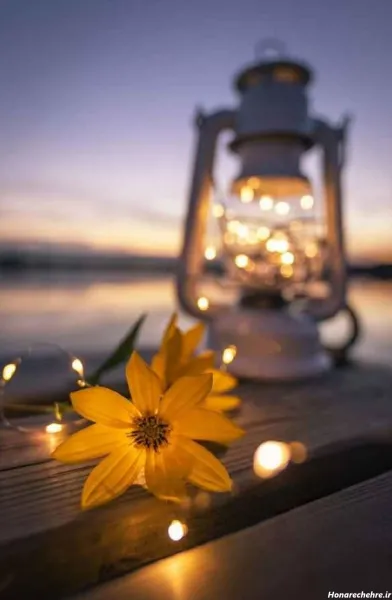  54 عکس تصویر زمینه