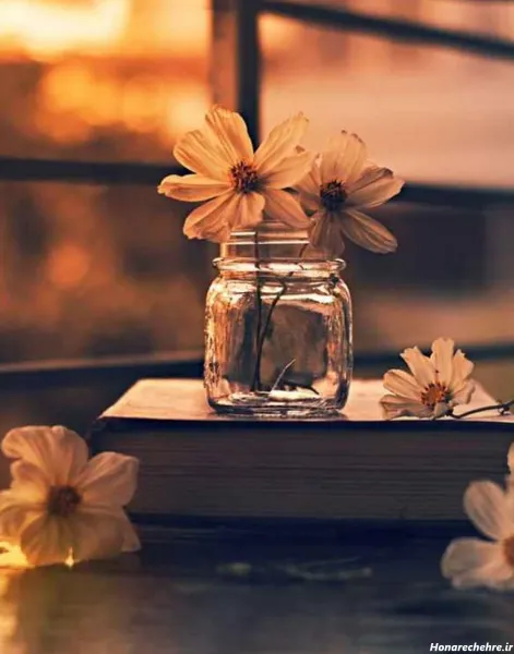  54 عکس تصویر زمینه