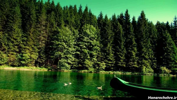  178 عکس پس زمینه شیک و باکلاس متحرک