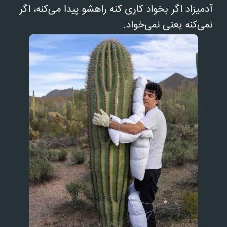  عکس منظره زیبا واقعی