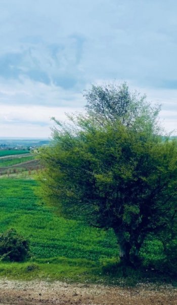  عکس طبیعت واقعی ایران
