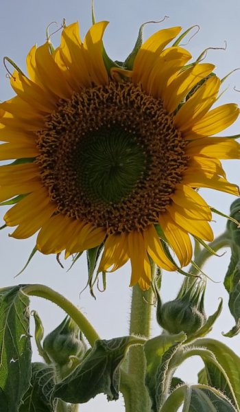  عکس طبیعت واقعی ایران