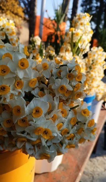  عکس طبیعت واقعی ایران