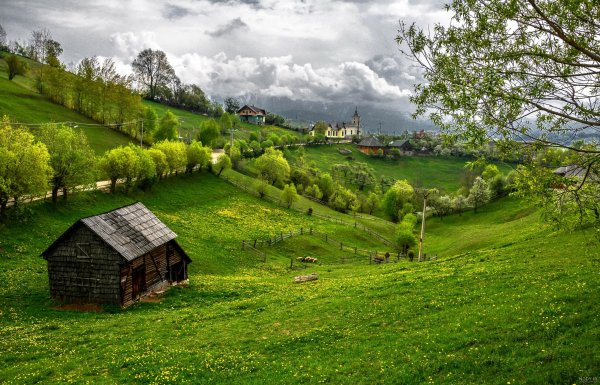 عکس دشت زیبا