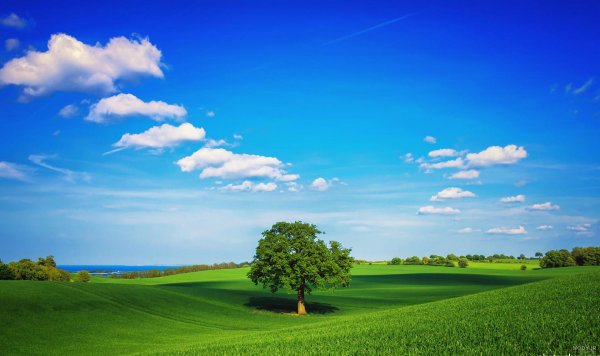  عکس دشت زیبا