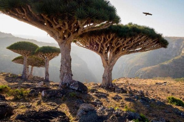  48 عکس زیباترین جای جهان