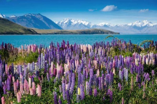  48 عکس زیباترین جای جهان