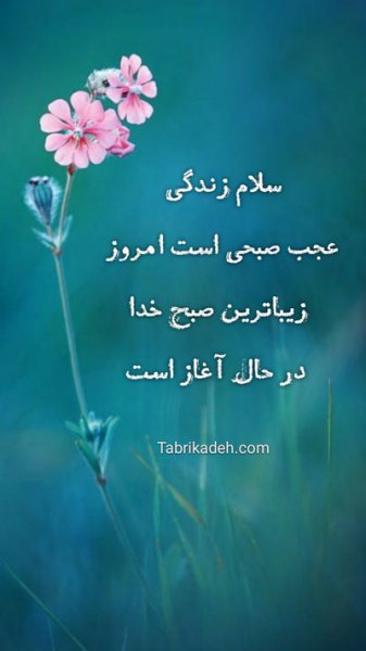 عکس برای استوری صبح بخیر