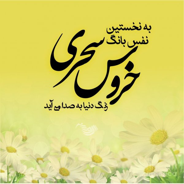 عکس برای استوری صبح بخیر