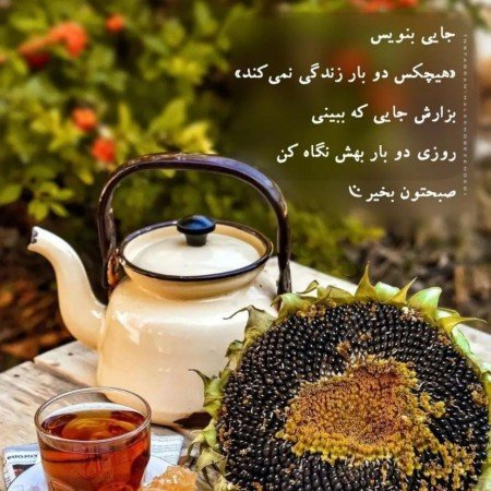 عکس خام برای استوری صبح بخیر