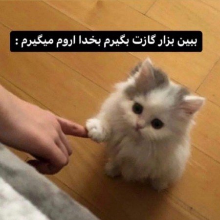  عکس استوری خفن