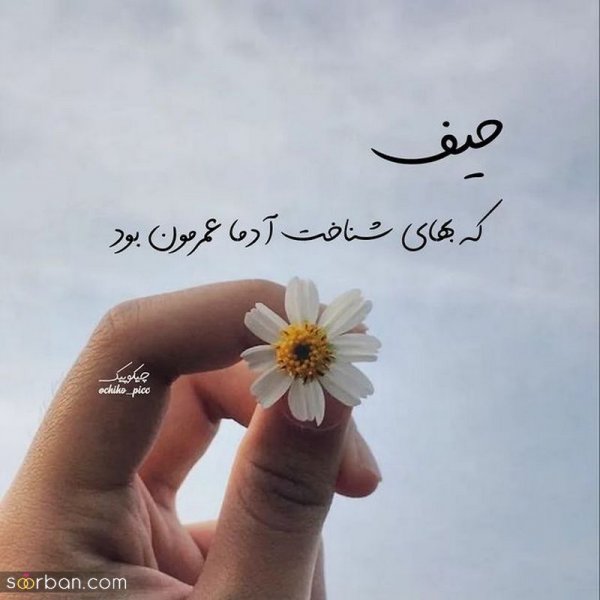  عکس نوشته های مفهومی و سنگین