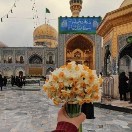  عکس برای استوری امام رضا