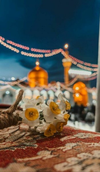  عکس از حرم امام رضا جدید