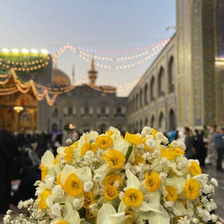  عکس از حرم امام رضا جدید