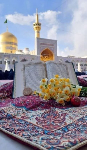  پروفایل امام رضا عاشقتم